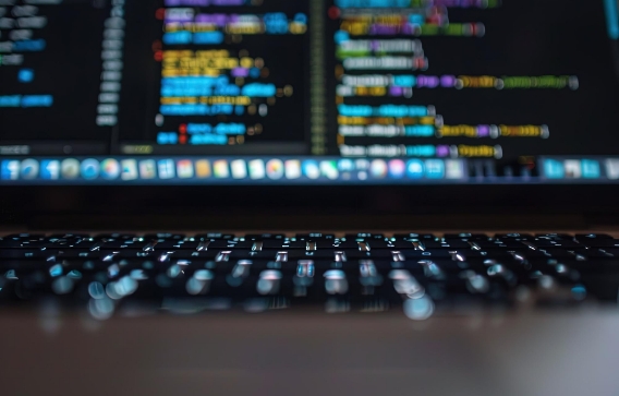 Expertos en WordPress