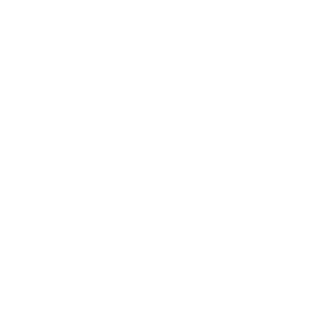 Backups WordPress